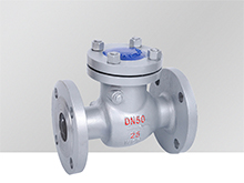 DIN Flange check valve