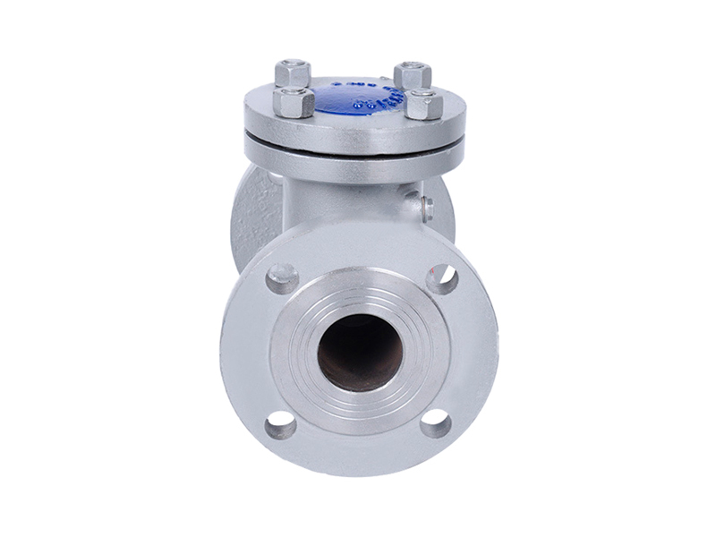 DIN Flange check valve