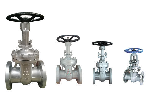 Comparison of the characteristics of several gate valves with different structures