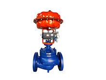 Cage Sleeve Control Valve