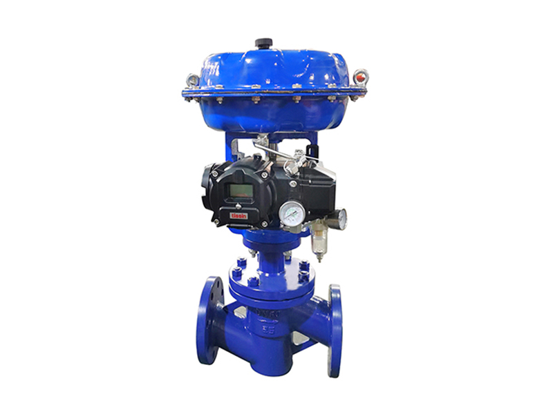 Cage Sleeve Control Valve