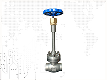 Cryogenic Globe valve