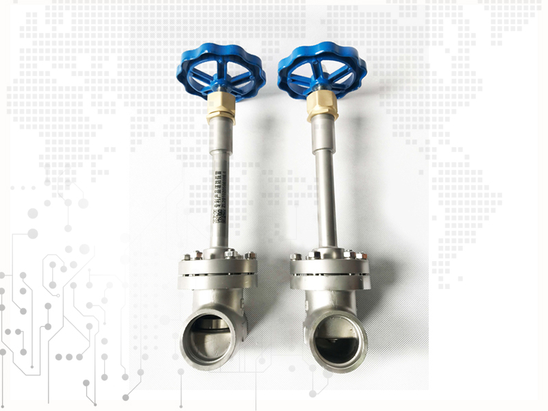 Cryogenic Globe valve