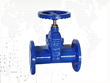 F5 resilient seated flanged gate valves