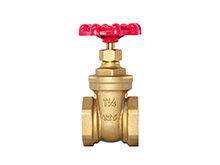 Brass Threaded Gate Valve