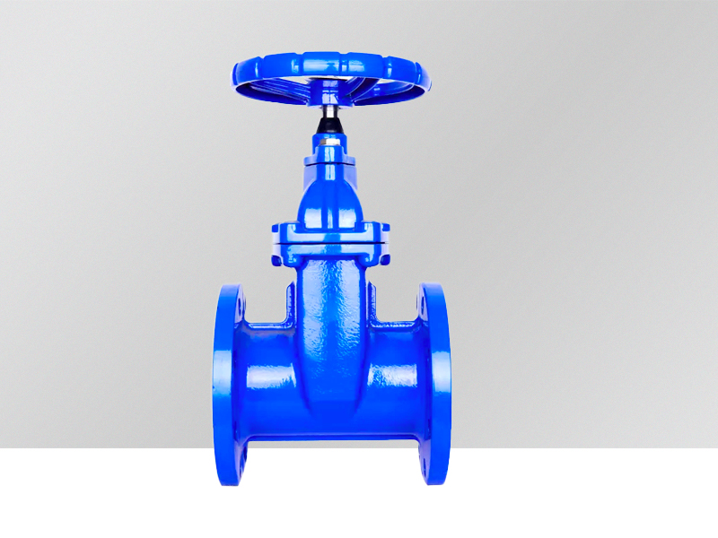 BS resilient seated gate valve