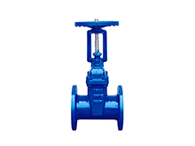 BS5163 rising stem soft seal gate valve