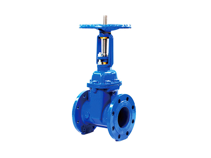 BS5163 rising stem soft seal gate valve