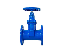 DIN F4 resilient seated gate valve