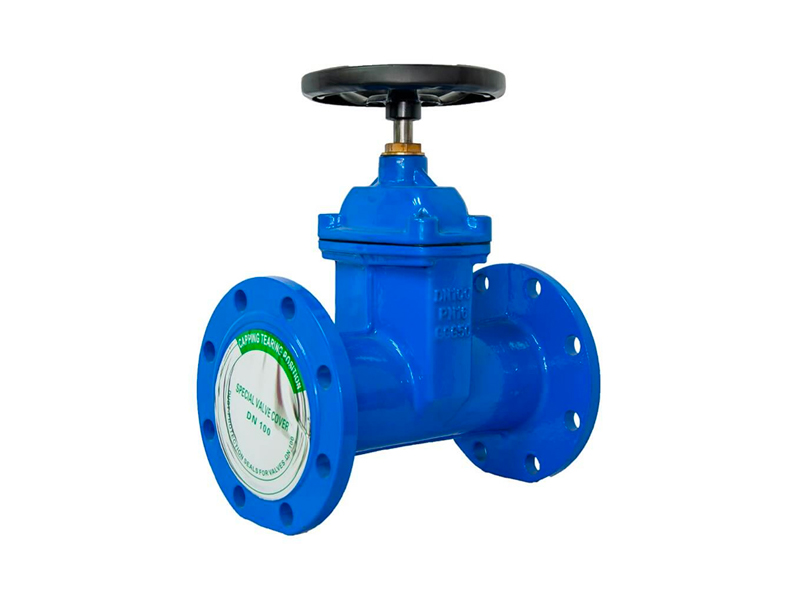 DIN F5 resilient seated gate valve