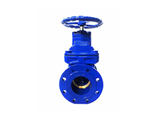 Hard seal gate valve