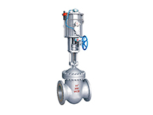 Pneumatic gate valve