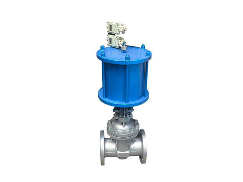 Pneumatic gate valve