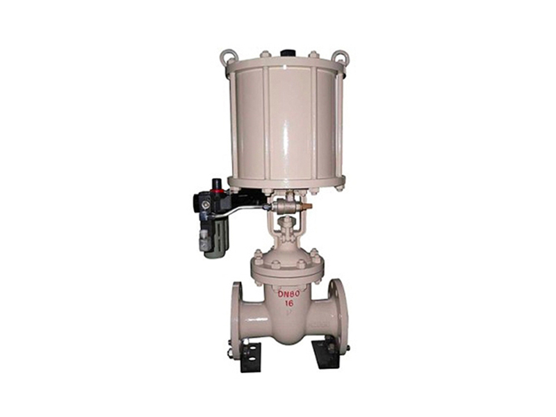 Pneumatic gate valve Control valve