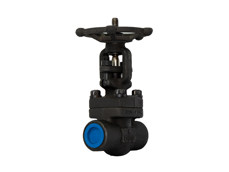 Rising stem forged steel gate valve