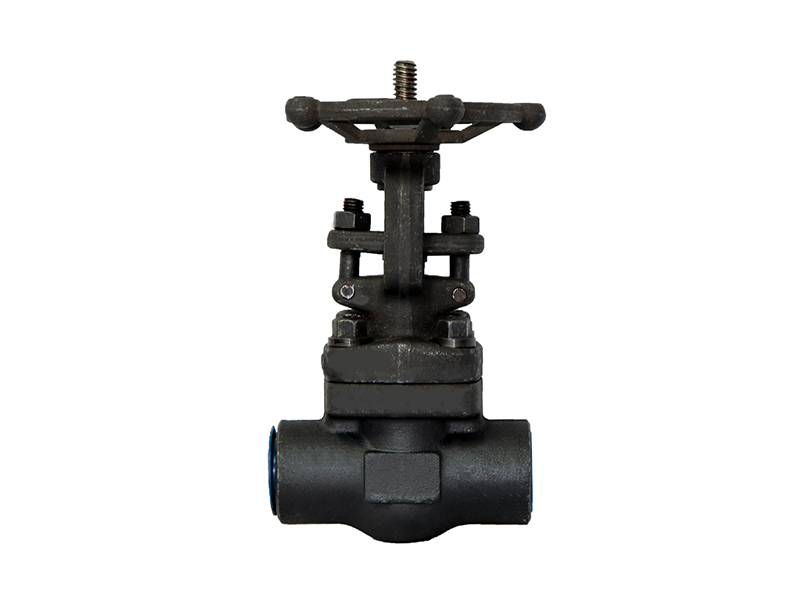 Rising stem forged steel gate valve