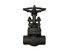 Rising stem forged steel gate valve