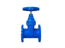 Soft seal gate valve