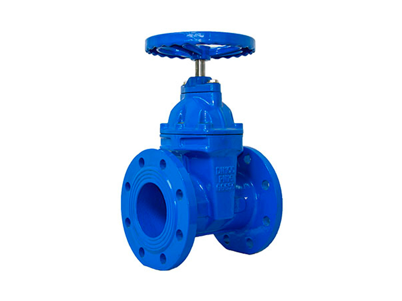 Soft seal gate valve