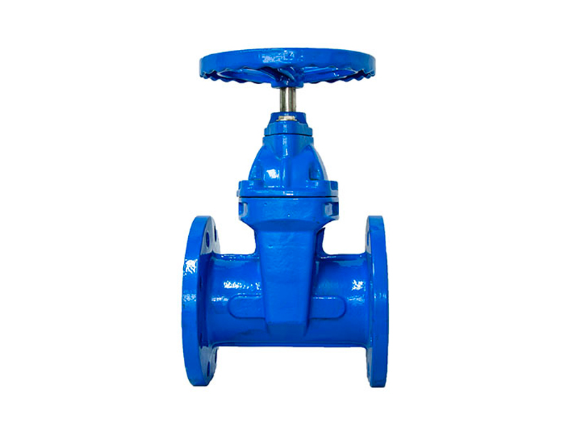 Soft seal gate valve