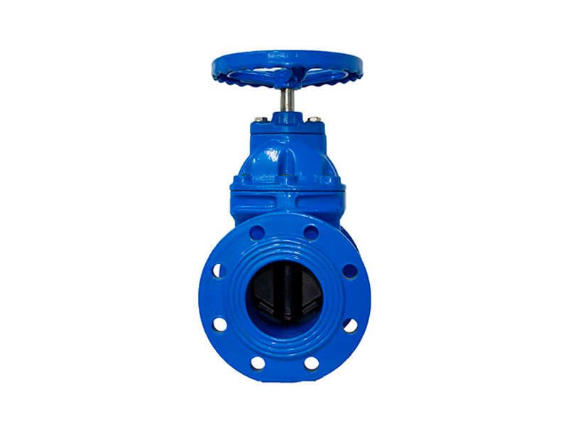 Soft seal gate valve