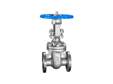 Stainless steel flange gate valve