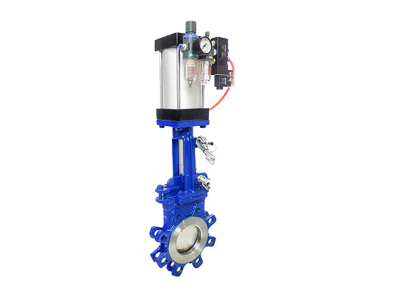 Wafer knife gate valve