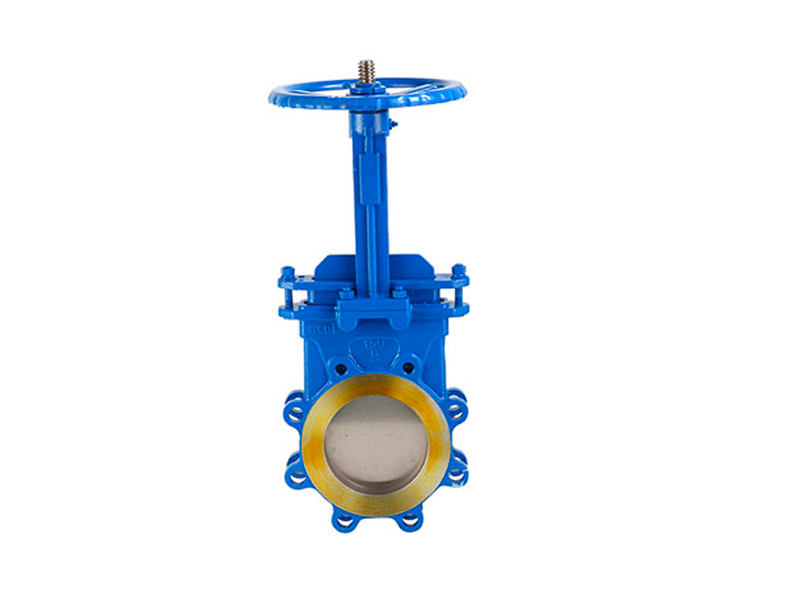 Wafer knife gate valve