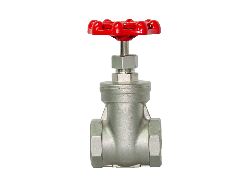 Stainless steel threaded gate valve