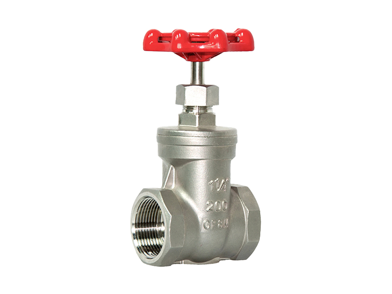 Stainless steel threaded gate valve