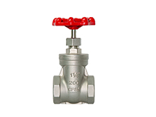 Stainless steel threaded gate valve