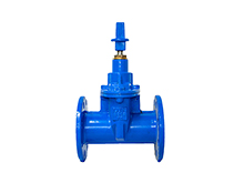 Underground cap soft seal gate valve