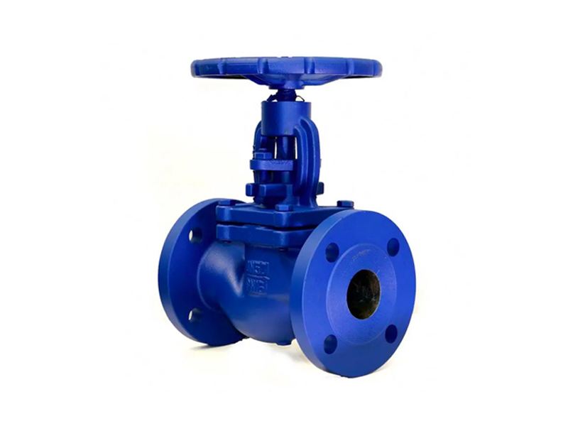 Bellows Globe Valve