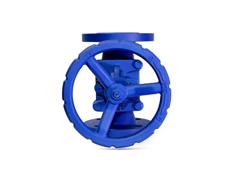 Bellows Globe Valve