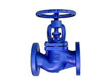 Bellows Globe Valve