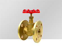 Brass Globe Valve