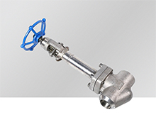 Cryogenic Globe valve