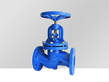 GG25 Globe Valve