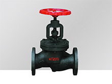 HT200 Globe Valve