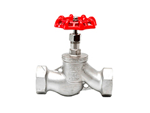 Stainless steel thread S type globe valve