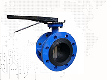 Lever operated flange butterfly valve