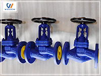 Advantages and disadvantages of globe valve