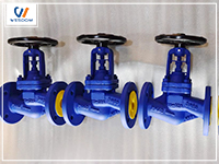 What are the characteristic advantages of globe valves?