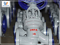 What is the directional flow of the globe valve? 