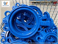 Features of centerline butterfly valve