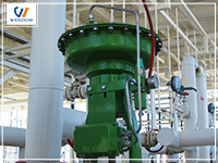 Installation and maintenance of control valve