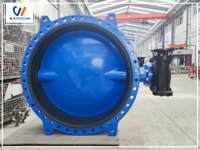 Why are they called butterfly valves?