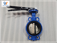 Why more and more applications are using multi-standard butterfly valves?