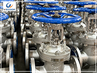 WEIZIDOM’s Strategic Partnership for Southeast Asia’s Oil Storage Market