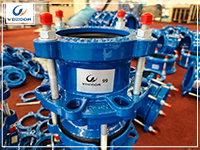 Flange Adapter vs Dismantling Joint: Differences, Uses & Selection Guide